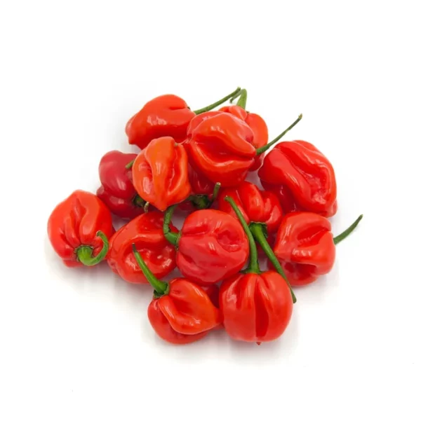 Habanero Vermell