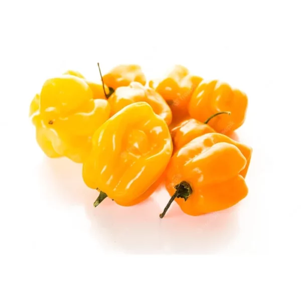 Habanero groc